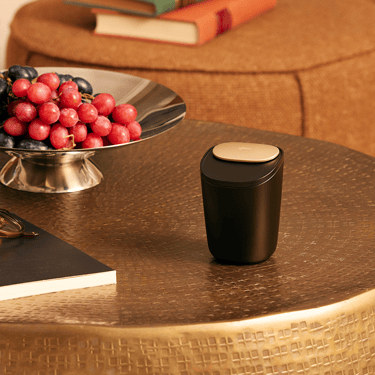 Ploom Stick Tray - Large